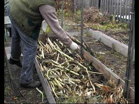 Как сделать грядки на даче