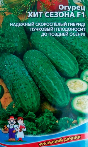 Урожайные сорта огурцов, которые можно посадить в тени