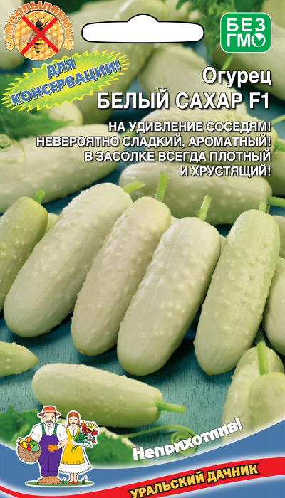 Лучшие засолочные сорта огурцов: на что обращать внимание при выборе