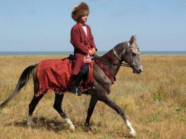 Ахалтекинская порода лошадей