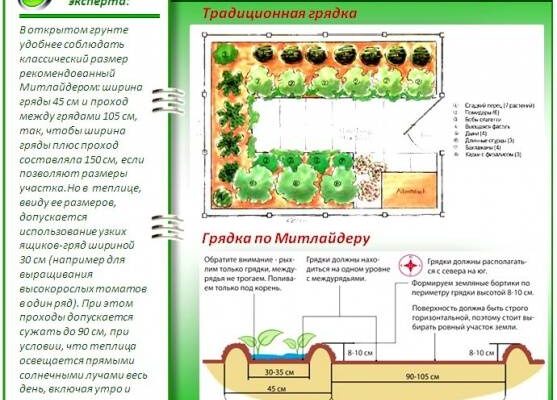 Узкие грядки по методу Митлайдера