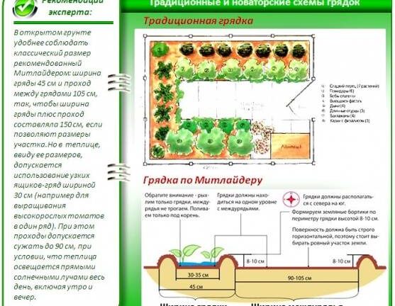 Узкие грядки по методу Митлайдера