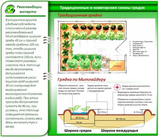 Узкие грядки по методу Митлайдера