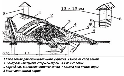 устройство буртов для хранения картофеля