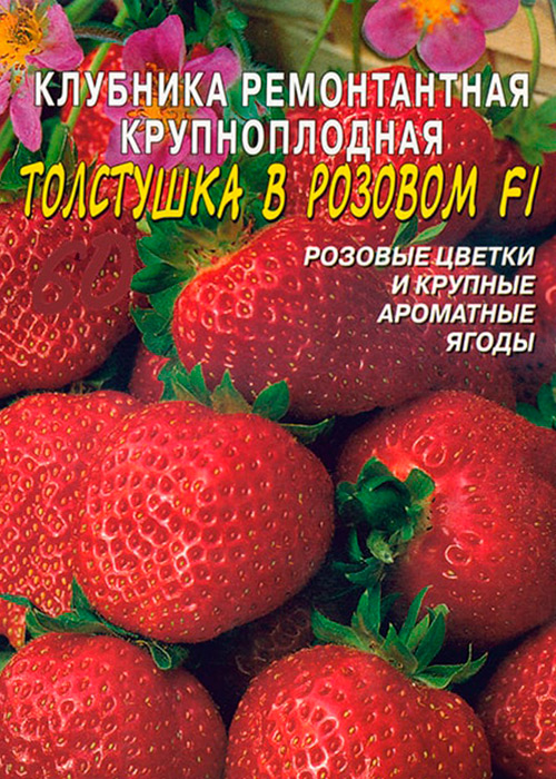 Гибрид или ГМО: полезная информация о розовых сортах садовой земляники