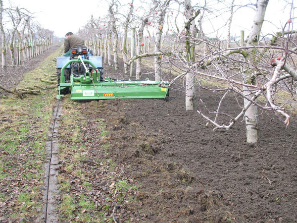 Фрезерный культиватор для междурядной обработки садов. Фото с сайта agro-sistema.ru