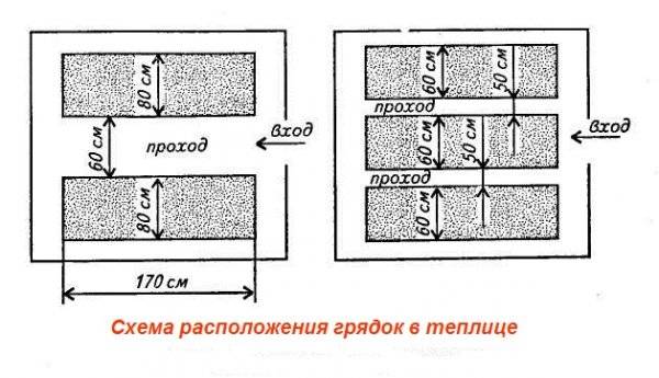 Обустройство теплицы из поликарбоната внутри + фото