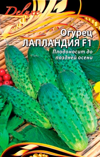 Обзор самых холодостойких сортов огурцов для открытого грунта