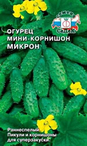 Рассказываем все секреты о тепличных сортах огурцов