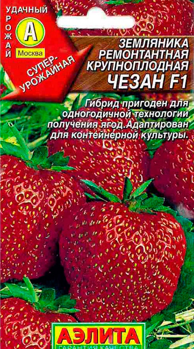 Рейтинг лучших сортов садовой земляники: по регионам и срокам созревания