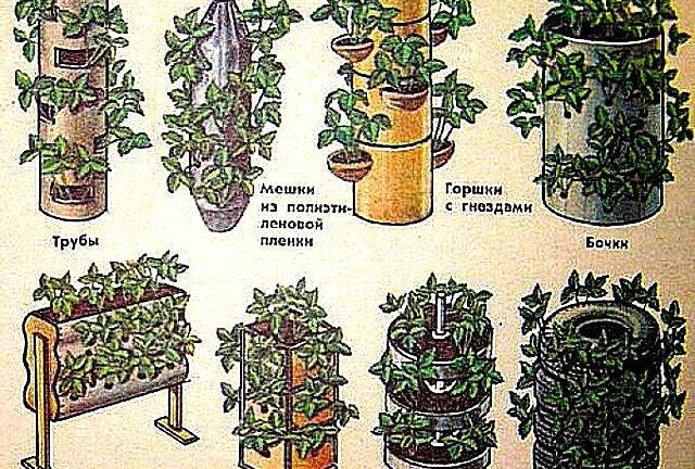 Как сделать вертикальные грядки для клубники