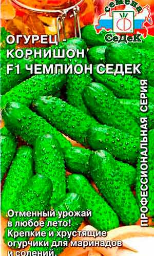 На заметку огородникам: самые высокоурожайные сорта огурцов для открытого грунта