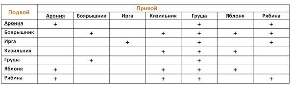 Таблица совместимости привоев и подвоев