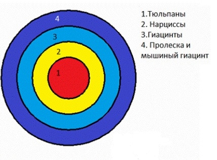 Оформление круглой клумбы: роскошные идеи + вдохновляющие фото