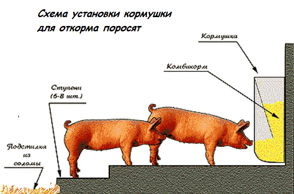 Как построить сарай для свиней своими руками