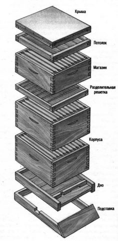 Многокорпусное содержание пчел: плюсы и минусы