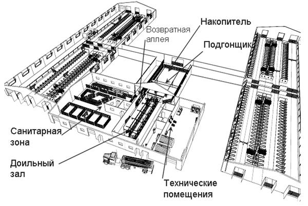 Станок для доения коровы своими руками