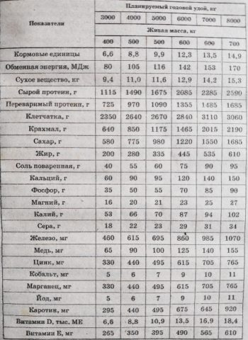 Кормление стельных, сухостойных коров, нетелей: особенности, нормы, рационы