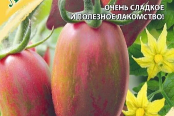 Помидоры Леденец розовый: описание сорта, фото, отзывы