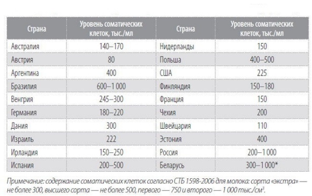 Соматика в молоке коров: лечение и профилактика