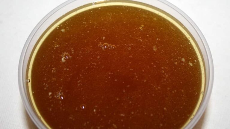 Мед из черноклена: полезные свойства, противопоказания, фото