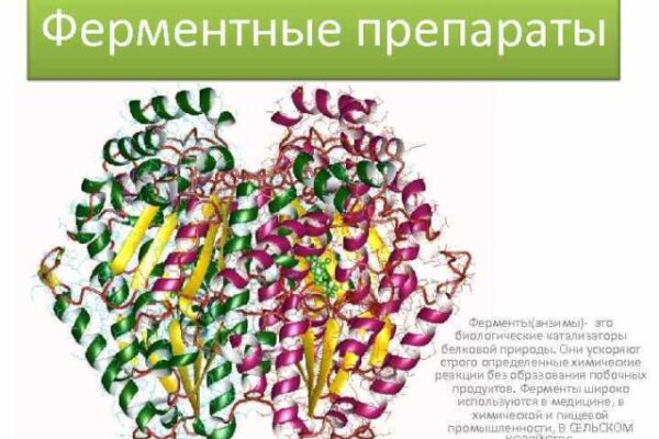 Корова после отела поносит: причины и лечение