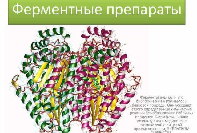 Корова после отела поносит: причины и лечение