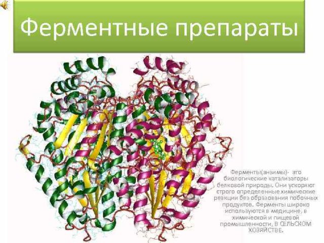 Корова после отела поносит: причины и лечение