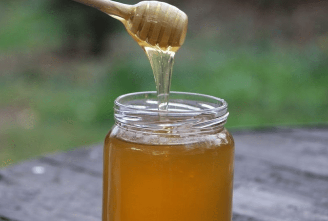 Мед золотарника: полезные свойства и противопоказания