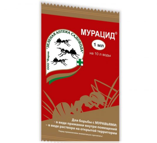 Как избавиться от муравьев на пионах: весной, на бутонах, народные средства