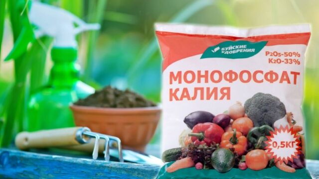 Как подкормить огурцы монофосфатом калия