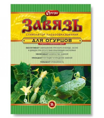 Почему огурцы цветут пустоцветом: что делать, в теплице, как бороться