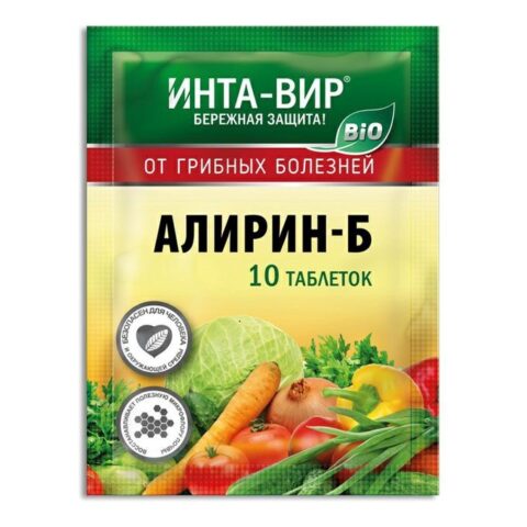 Чем обработать кабачки от мучнистой росы: во время плодоношения, народными средствами