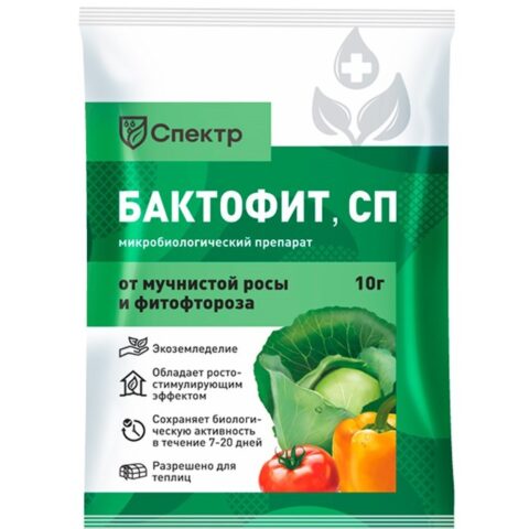 Чем обработать кабачки от мучнистой росы: во время плодоношения, народными средствами