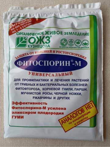 Чем обработать кабачки от мучнистой росы: во время плодоношения, народными средствами