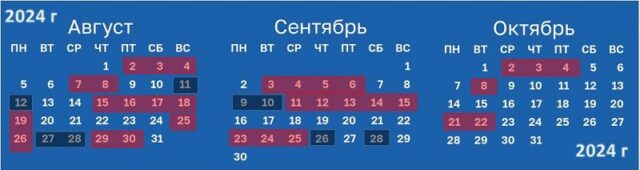 Когда убирать свеклу с грядки в Подмосковье и средней полосе