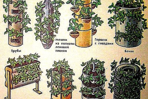 Изготовление вертикальных грядок для клубники