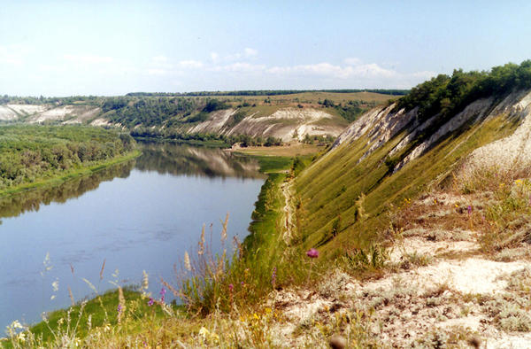 Подарки белых скал