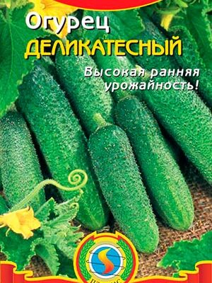 Вкусный огурец: посадка сорта Деликатесный