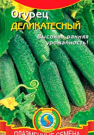 Вкусный огурец: посадка сорта Деликатесный