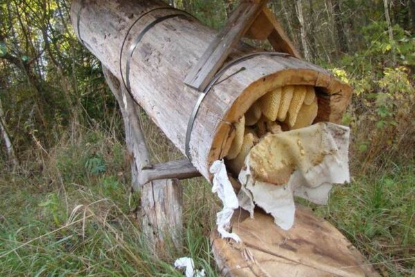 Рукоизводство по изготовлению ульев собственными силами: схемы