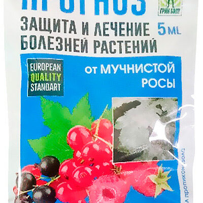 Применение препарата «Прогноз» против мучнистой росы