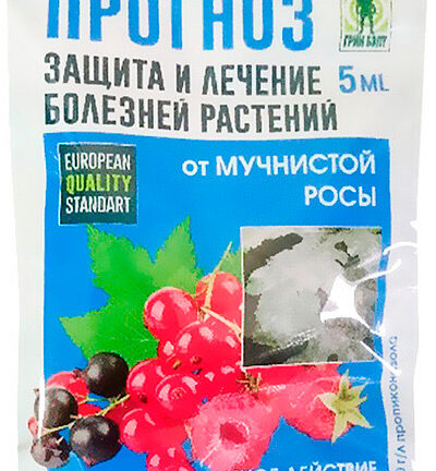 Применение препарата «Прогноз» против мучнистой росы