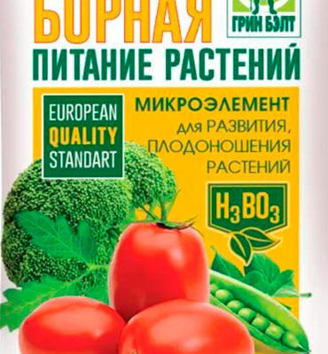 Борная кислота — способ повысить урожайность помидоров и огурцов.