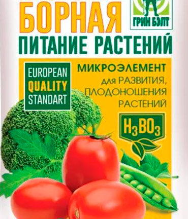 Борная кислота — способ повысить урожайность помидоров и огурцов.