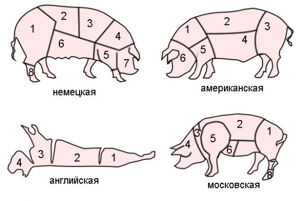 Разделка свинины: подробное описание всех частей