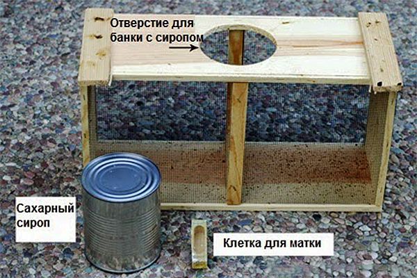 Как создать пчелопакет: советы и отклики