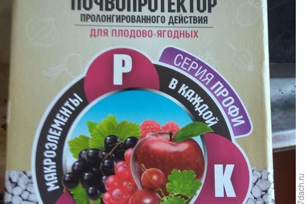 Фаско: почва для рассады с продолжительным эффектом