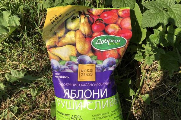 Результаты тестирования удобрения «Добрая сила» на молоденьких плодовых