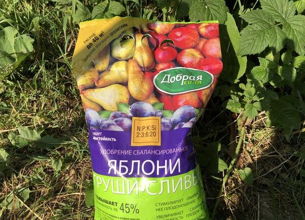 Результаты тестирования удобрения «Добрая сила» на молоденьких плодовых